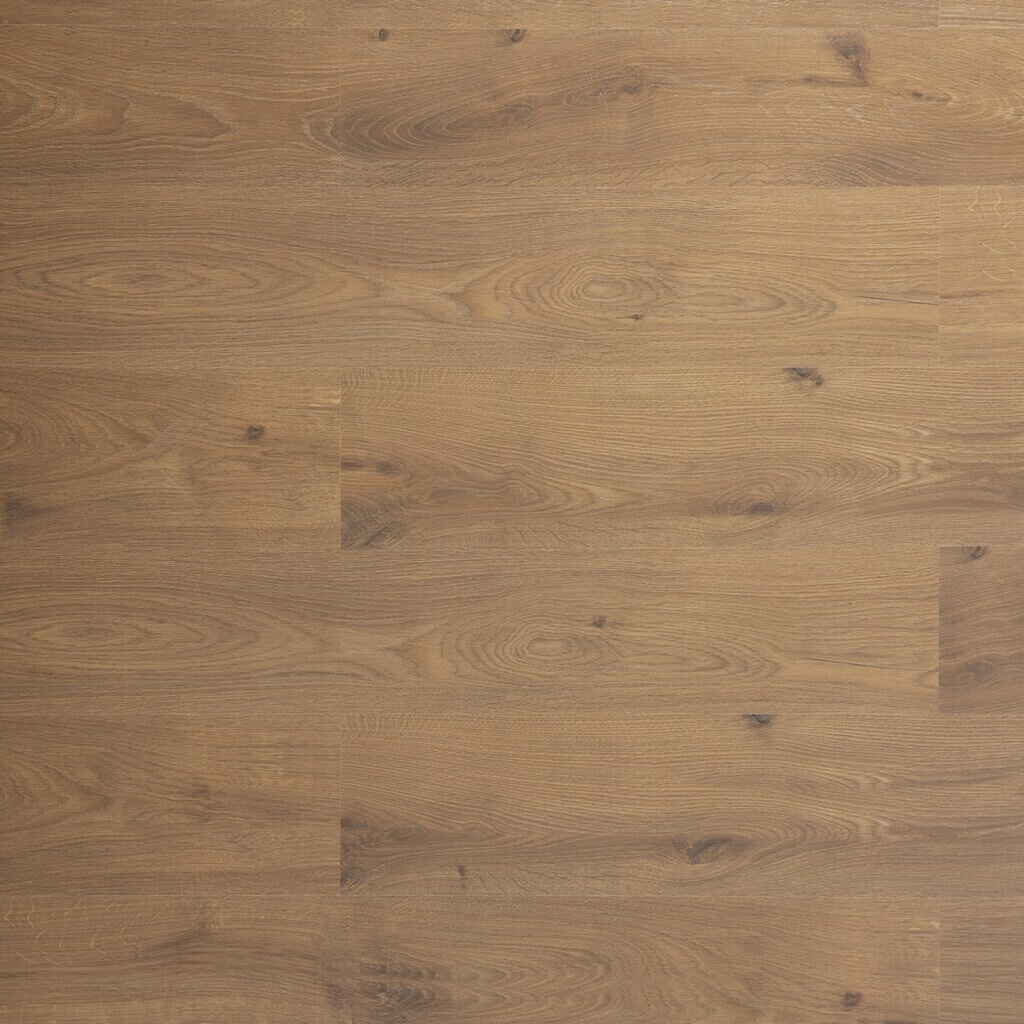 Mocha Oak